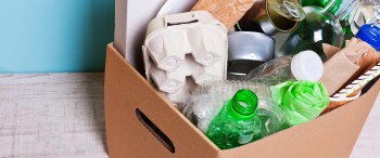 ¿Cómo separar la basura?