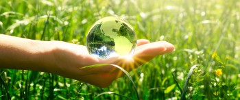 ¡Únete al Eco-reto, comadre!